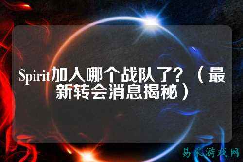 Spirit加入哪个战队了？（最新转会消息揭秘）