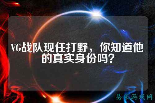VG战队现任打野，你知道他的真实身份吗？