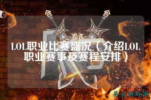 LOL职业比赛盛况（介绍LOL职业赛事及赛程安排）
