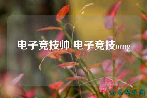 电子竞技帅 电子竞技omg