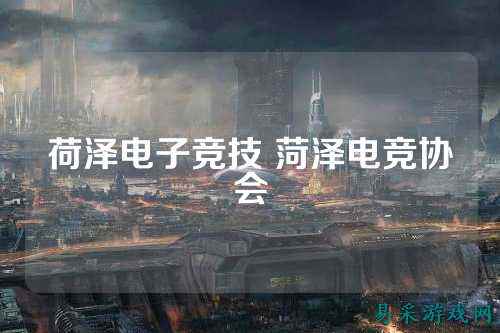 荷泽电子竞技 菏泽电竞协会