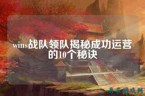 wins战队领队揭秘成功运营的10个秘诀