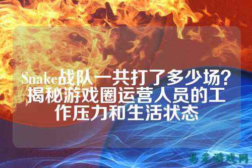 Snake战队一共打了多少场？揭秘游戏圈运营人员的工作压力和生活状态