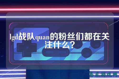 lgd战队quan的粉丝们都在关注什么？