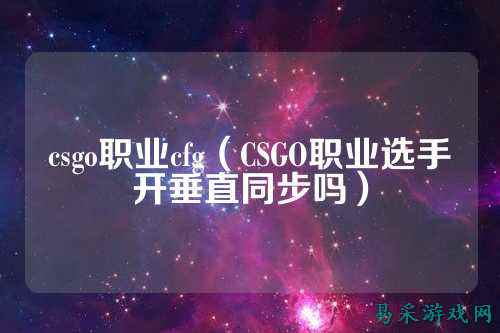 csgo职业cfg（CSGO职业选手开垂直同步吗）