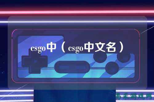 csgo中（csgo中文名）