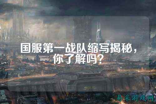 国服第一战队缩写揭秘，你了解吗？