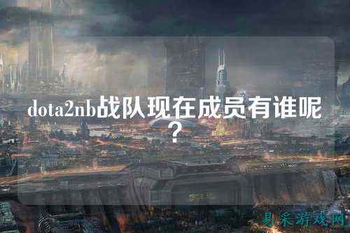 dota2nb战队现在成员有谁呢？