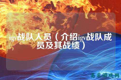 igv战队人员（介绍igv战队成员及其战绩）
