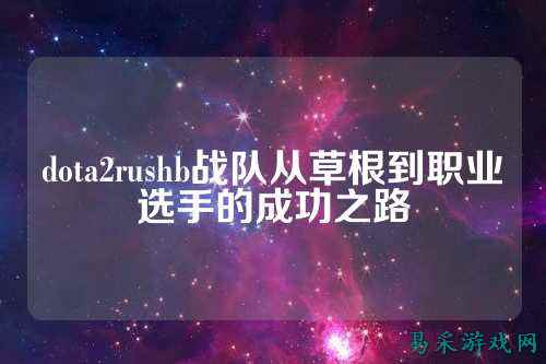 dota2rushb战队从草根到职业选手的成功之路