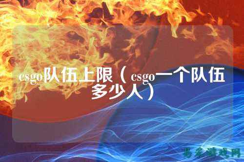 csgo队伍上限（csgo一个队伍多少人）