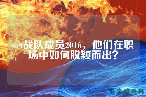 wef战队成员2016，他们在职场中如何脱颖而出？