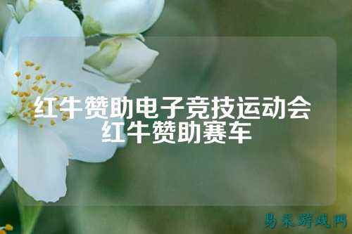 红牛赞助电子竞技运动会 红牛赞助赛车