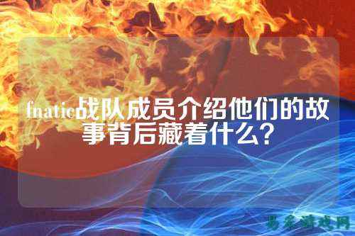 fnatic战队成员介绍他们的故事背后藏着什么？