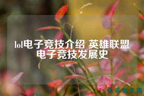 lol电子竞技介绍 英雄联盟电子竞技发展史