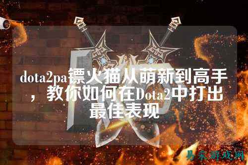 dota2pa镖火猫从萌新到高手，教你如何在Dota2中打出最佳表现