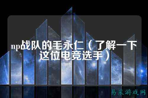 np战队的毛永仁（了解一下这位电竞选手）