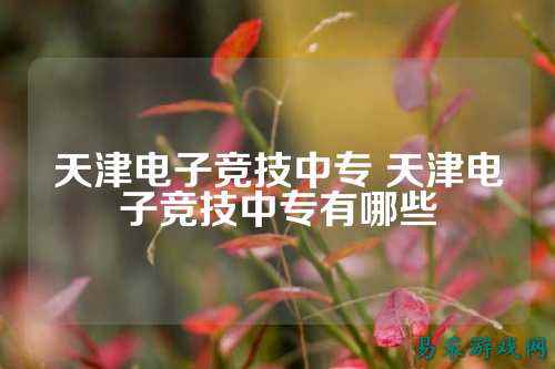 天津电子竞技中专 天津电子竞技中专有哪些
