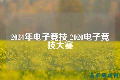 2024年电子竞技 2020电子竞技大赛