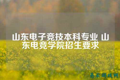 山东电子竞技本科专业 山东电竞学院招生要求