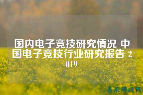 国内电子竞技研究情况 中国电子竞技行业研究报告 2019