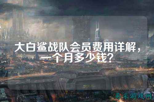 大白鲨战队会员费用详解，一个月多少钱？