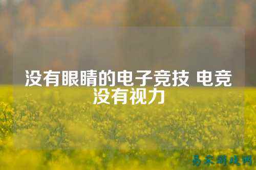 没有眼睛的电子竞技 电竞没有视力