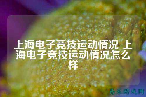 上海电子竞技运动情况 上海电子竞技运动情况怎么样