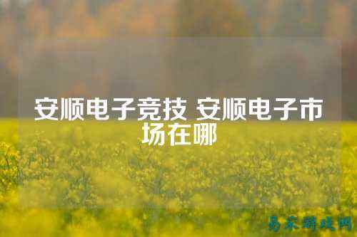 安顺电子竞技 安顺电子市场在哪