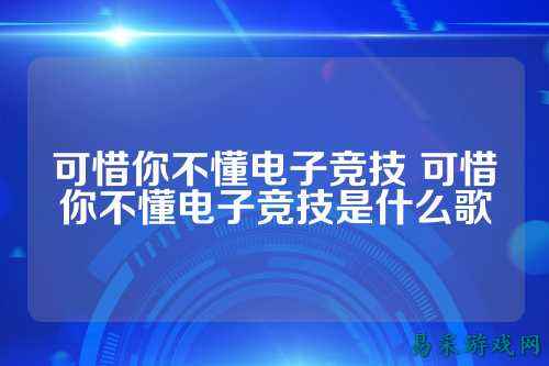 可惜你不懂电子竞技 可惜你不懂电子竞技是什么歌