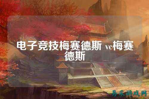 电子竞技梅赛德斯 vc梅赛德斯