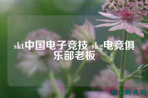 skt中国电子竞技 skg电竞俱乐部老板