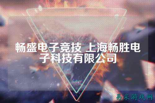 畅盛电子竞技 上海畅胜电子科技有限公司