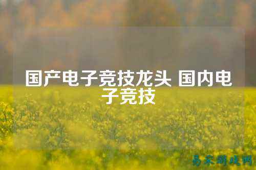 国产电子竞技龙头 国内电子竞技
