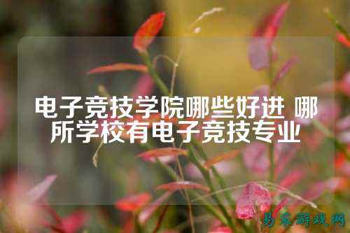 电子竞技学院哪些好进 哪所学校有电子竞技专业