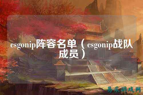 csgonip阵容名单(csgonip战队成员)