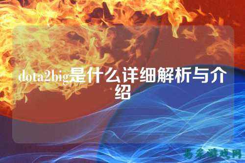 dota2big是什么详细解析与介绍