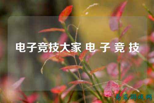 电子竞技大家 电 子 竞 技