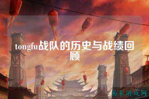 tongfu战队的历史与战绩回顾