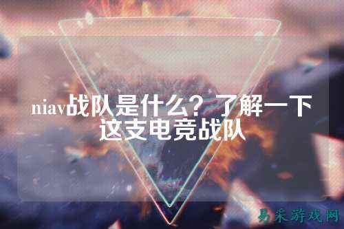 niav战队是什么？了解一下这支电竞战队