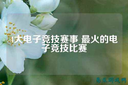 4大电子竞技赛事 最火的电子竞技比赛