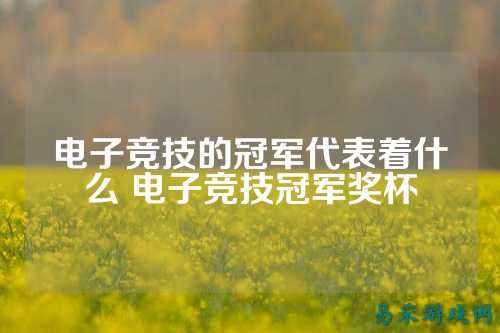 电子竞技的冠军代表着什么 电子竞技冠军奖杯