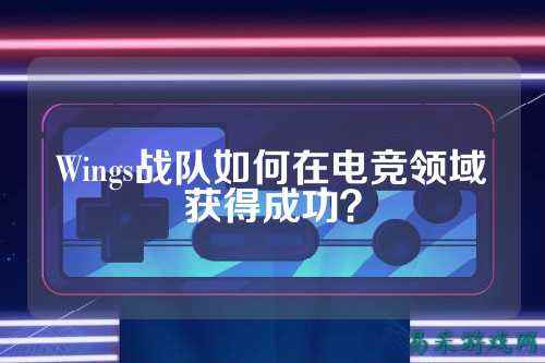 Wings战队如何在电竞领域获得成功？