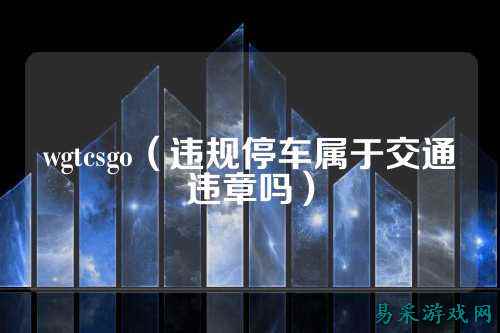 wgtcsgo(违规停车属于交通违章吗)