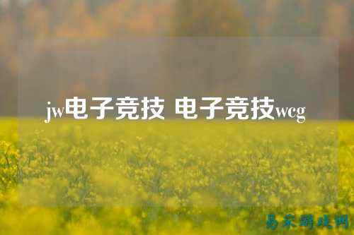 jw电子竞技 电子竞技wcg