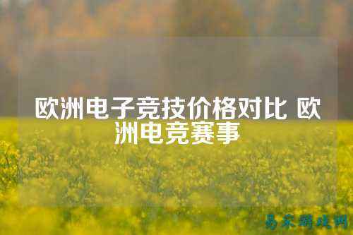 欧洲电子竞技价格对比 欧洲电竞赛事