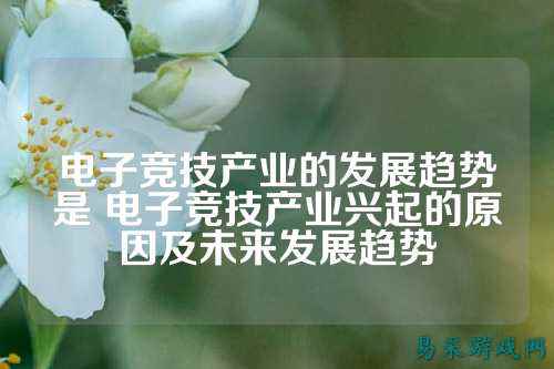电子竞技产业的发展趋势是 电子竞技产业兴起的原因及未来发展趋势