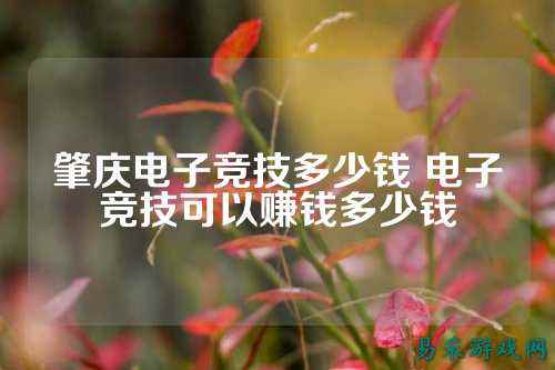 肇庆电子竞技多少钱 电子竞技可以赚钱多少钱