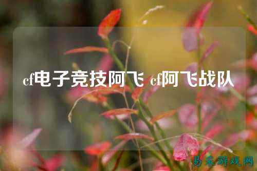 cf电子竞技阿飞 cf阿飞战队