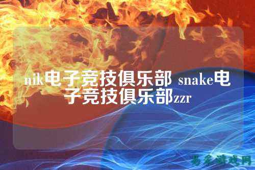 nik电子竞技俱乐部 snake电子竞技俱乐部zzr